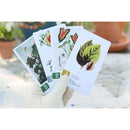 Botany Brilliant Blue Botanicals Mini Expansion Game