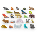 Life of the Amazonia Meeple Set