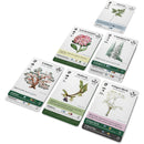 Reforest - Old Growth Game