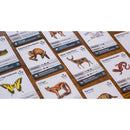 Reforest - Old Growth Game