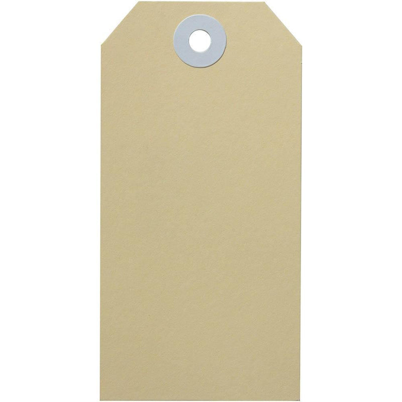 Avery 14100 Shipping Tag Size 4 108x54mm Buff Box 100 14100 - SuperOffice