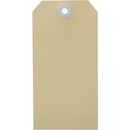 Avery 15100 Shipping Tag Size 5 120x60mm Buff Box 100 15100 - SuperOffice