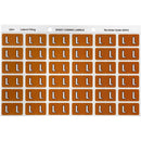 Avery 43312 Label Side Tab L Colour Code 25 X 38Mm Mustard Pack 180 43312 - SuperOffice