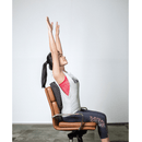 BackJoy Imphy Ergonomic Back Stretcher Stretch Posture ACBST001 - SuperOffice