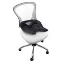 BackJoy SitSmart Posture Core Angel Lux UpRight Ergonomic Back Seating Correction Black BJSAL001 - SuperOffice