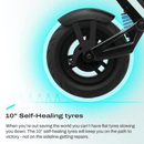 Daxys Electric Scooter Bandicoot eScooter Black ES001 - SuperOffice