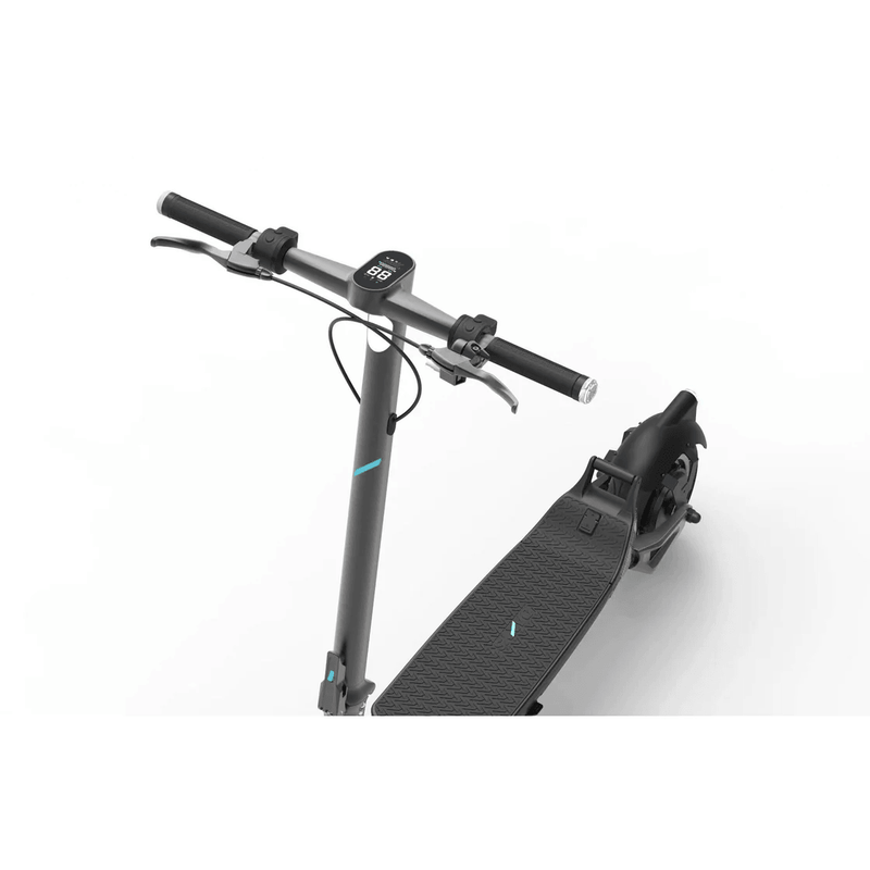 Daxys Electric Scooter Bandicoot eScooter Black ES001 - SuperOffice