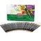 Derwent Academy Coloured Pencils Tin 36 Set 2300225 - SuperOffice