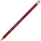 Derwent Pastel Pencil Fresh Green Pack 6 2300276 - SuperOffice