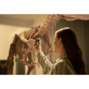 DJI Action 2 Dual Screen Combo 4K Cam Camcorder Camera 4K/120FPS CP.OS.00000183.01 - SuperOffice