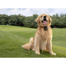 DJI Osmo Nano Action Camera Standard Combo 64GB Black CP.OS.00000461.01 - SuperOffice