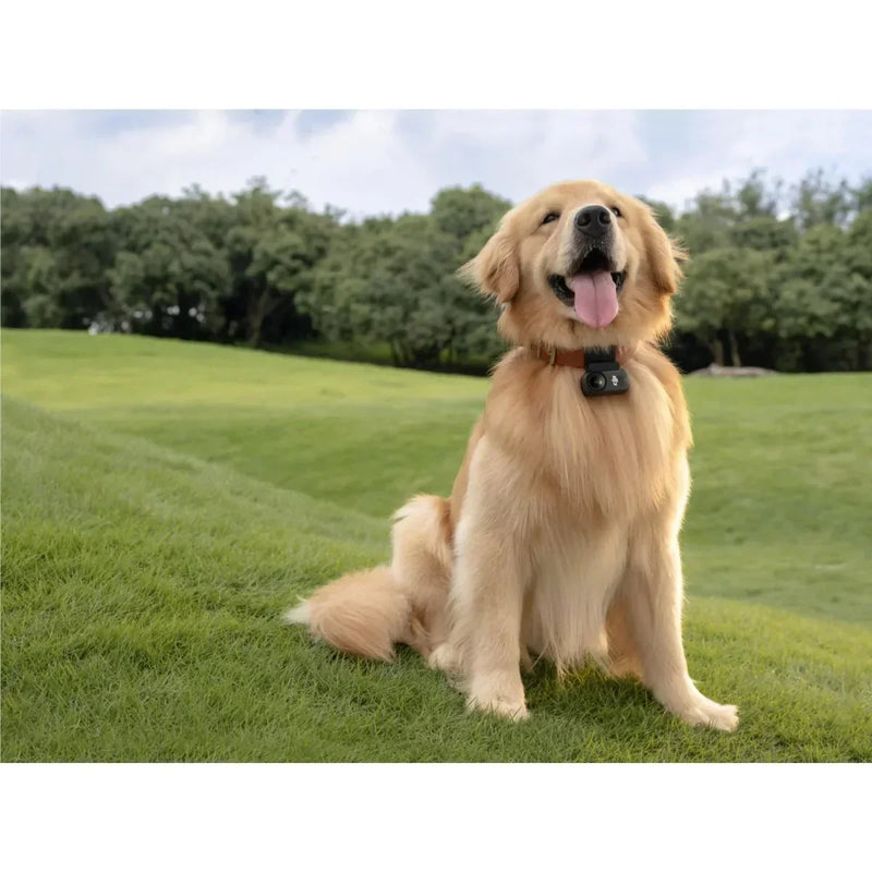 DJI Osmo Nano Action Camera Standard Combo 64GB Black CP.OS.00000461.01 - SuperOffice