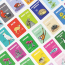 Ginger Fox Don't Be A Dik Dik Party Game 5060532878695 - SuperOffice