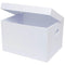 Marbig Plastic Archive Box 410 X 310 X 260Mm White 8015008 - SuperOffice