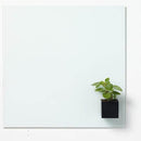 Naga Glassboard Super Strong Magnetic Box 60Mm Black 23951 - SuperOffice