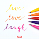 Pentel Arts Marker Brush Sign Pen Standard Colours Pack 12 Wallet Set SES15C12AST1 (Standard) - SuperOffice