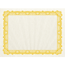 Premium Certificate Award Parchment Paper A4 Gold Border 90GSM 25 Sheets Gold90 - SuperOffice