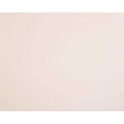 Quill Board 210Gsm 510 X 635Mm Cream Pack 20 100850161 - SuperOffice