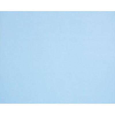 Quill Board 210Gsm 510 X 635Mm Powder Blue Pack 20 100850150 - SuperOffice