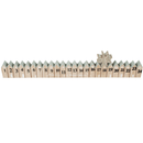 Rolling Christmas Count Down Date Star Blocks Stand XM4632 - SuperOffice