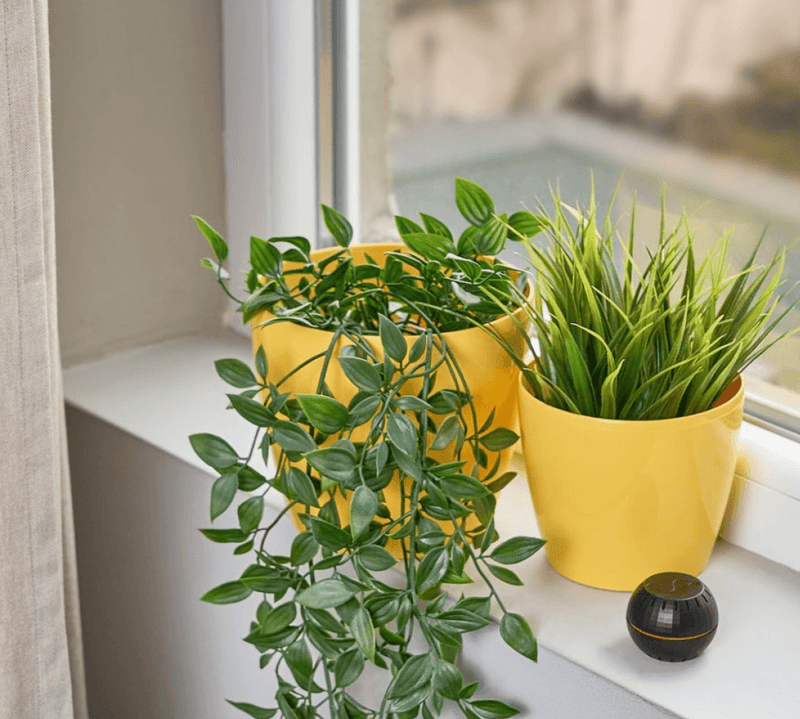 Shelly Smart Home H&T Humidity & Temperature Sensor WiFi Black ShellyHTB - SuperOffice