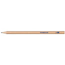 Staedtler Natural Graphite Lead Pencil HB Tub 100 Bulk 13060N2KP - SuperOffice