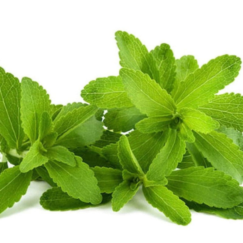 Stevia Sweet Sweetener 220 Tablets Box of 6 7610211149516 - SuperOffice