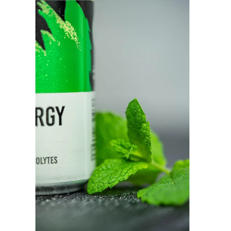 TENZING Natural Energy Drink Vegan Gluten Free Lime & Mint 330ml Can 12 Pack TENCAS12LM330 (12 Pack) - SuperOffice