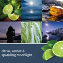 Yankee Candle Classic Moonlit Cove Large Jar 623g 1630410 - SuperOffice