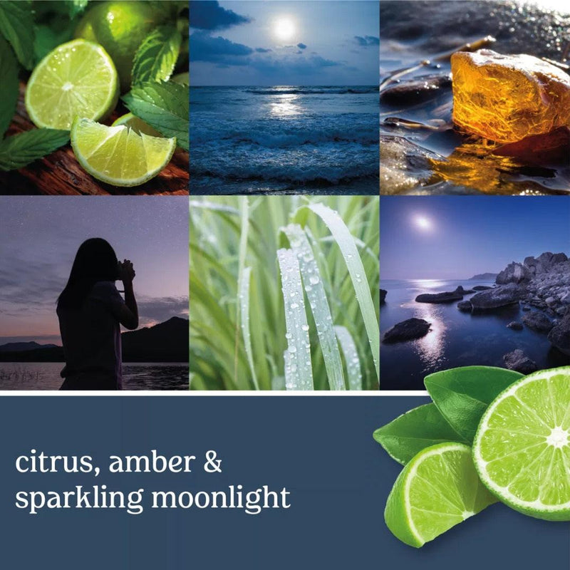 Yankee Candle Classic Moonlit Cove Large Jar 623g 1630410 - SuperOffice