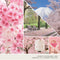 Yankee Candle Classic Sakura Blossom Festival Large Jar 623g 1632334 - SuperOffice