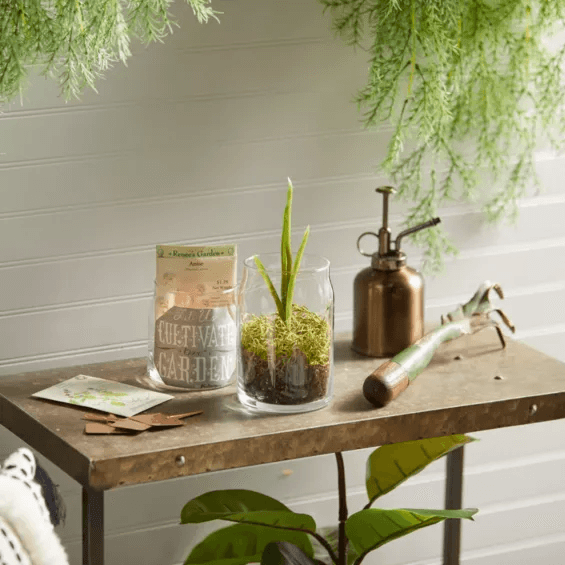 Yankee Candle Pink Cherry Vanilla Signature Collection Large Jar 1629986 - SuperOffice