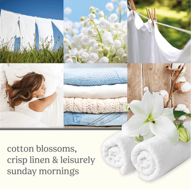 Yankee Candle Signature 5 Wick Tumbler Clean Cotton 1630816 - SuperOffice